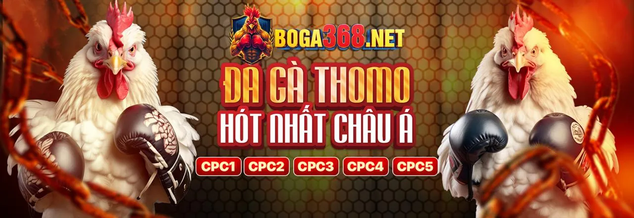 sv8386 - Nền tảng giải trí trực tuyến hàng đầu Việt Nam